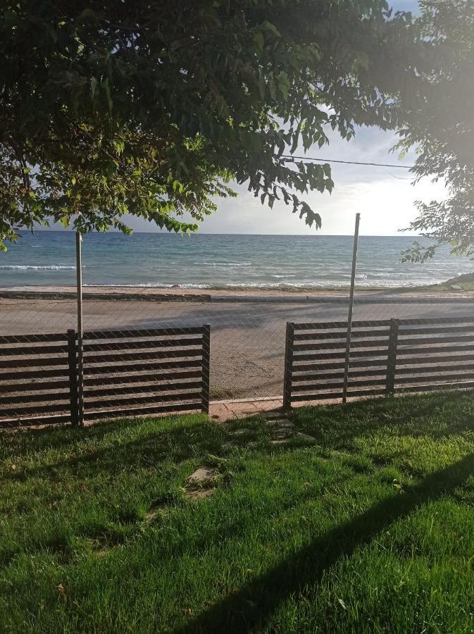 Nikos & Patras Houses 尼亚普拉加 外观 照片
